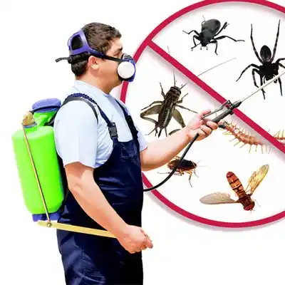 pest control Watkins
